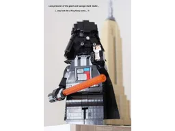 Darth Vader Maxifig
