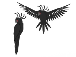 Palm Cockatoos: The Fauna Collection