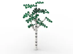 Birch Tree