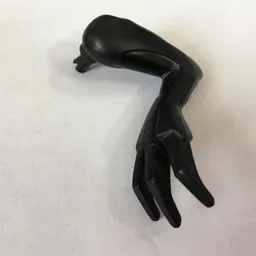 Animal Body Part, Dinosaur, Arm / Leg, Left with Claws / Black