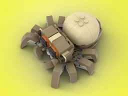 Cute little spider