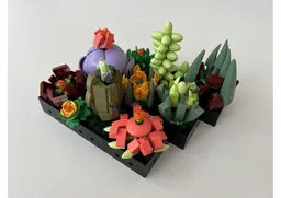 Succulent Remix