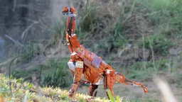 31154 Atlasaurus imelakei