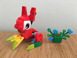 30581 Hare