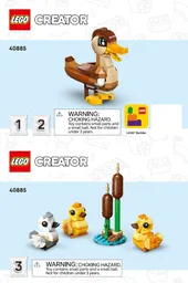 Duck Family