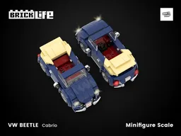 VW Beetle | Cabrio Classic