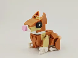 31376 Rabbit
