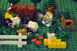 Simple Dorper Sheep