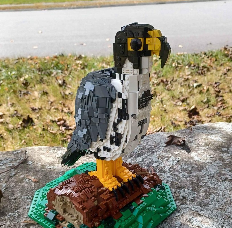 Lego Peregrine falcon