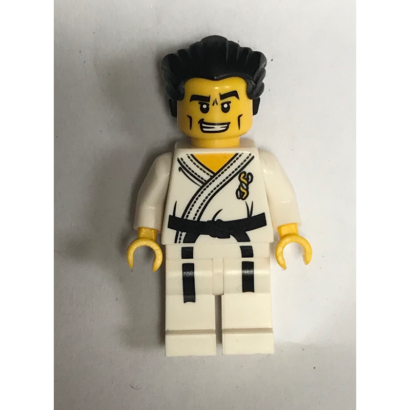 Lego Karate Master
