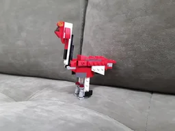 13+55 - Turkey