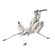 (G2) - The Praying Mantis Nymph