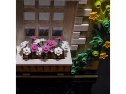 Window