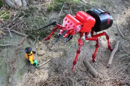 The Fire Ant Queen (V1)