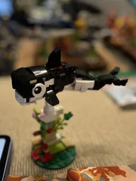 Orca re-moc