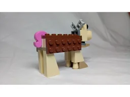 Fig's companion